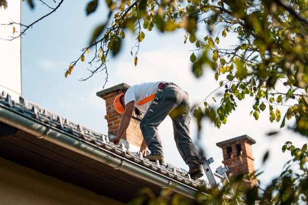 Best Roof Gutter Cleaning  in Trail Creek, IN