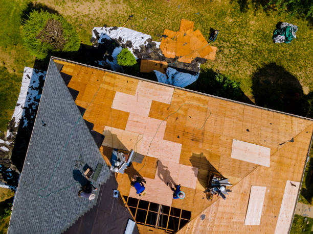 Best Roof Repair Services  in Trail Creek, IN