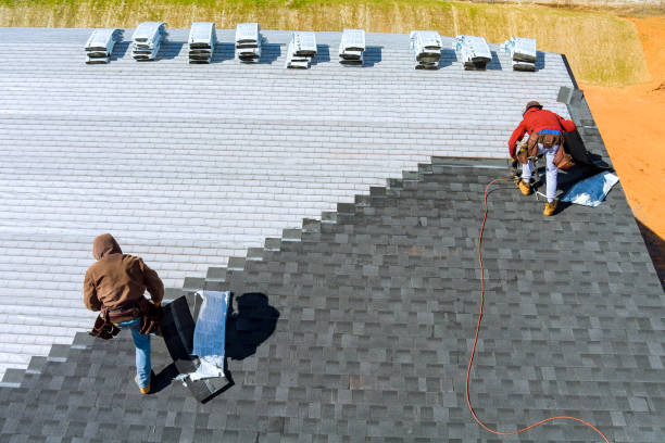 Best Roof Leak Repair  in Trail Creek, IN