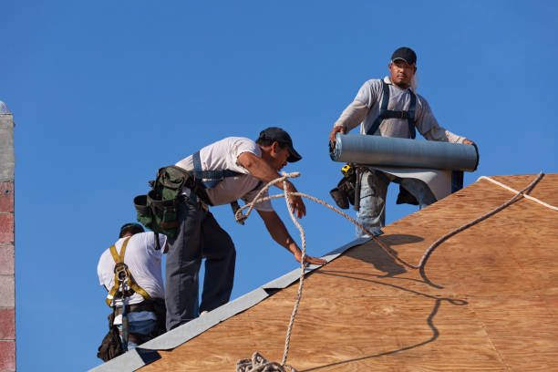 Best Slate Roofing Contractor  in Trail Creek, IN