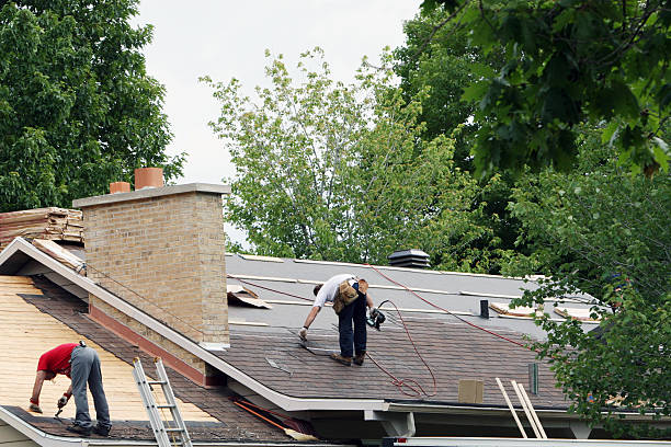 Best Shingle Roofing Installation  in Trail Creek, IN