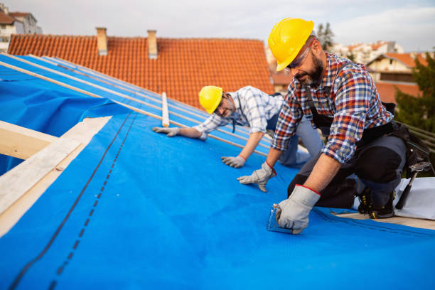 Best Storm Damage Roof Repair  in Trail Creek, IN