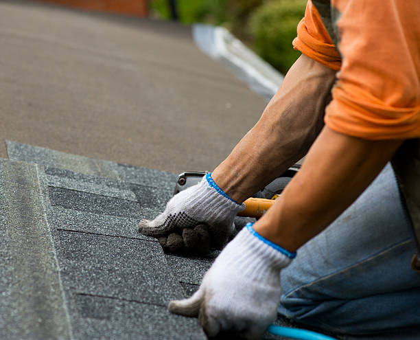 Best Metal Roofing Contractor  in Trail Creek, IN