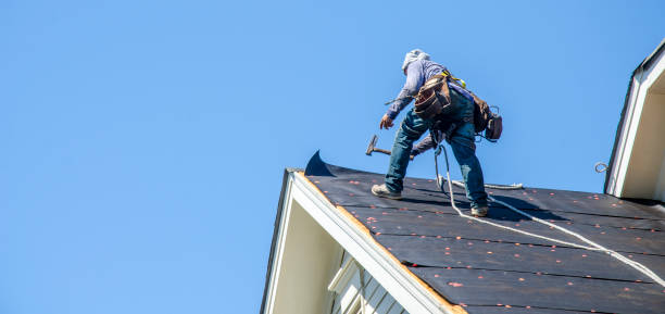 Best Roof Replacement Cost  in Trail Creek, IN