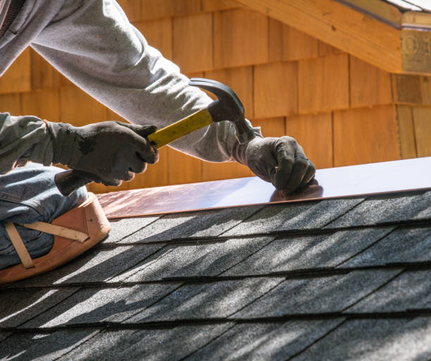Best Roof Gutter Cleaning  in Trail Creek, IN